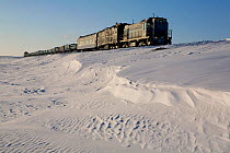 Train on the railway line that carries equipment & supplies up the Yamal Peninsula to the Bovanenkovo gas field. Yamal, Western Siberia, Russia, August 2008.