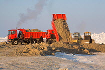 Trucks carrying rocks and earth to build a road to the Yurharovo gas field north of Noviy Urengoy. Yamal, Western Siberia, Russia.