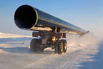 Truck carrying large section of gas pipe on a winter road near the Yurharovo gas field. Noviy Urengoi, Yamal, Western Siberia, Russia.