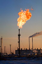 Gas flare at a Gazprom oil production facility near Noviy Urengoy. Yamal, Western Siberia, Russia.