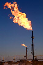 Gas flare at a Gazprom oil production facility near Noviy Urengoy. Yamal, Western Siberia, Russia.