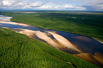 Piaku-Pur River flowing through boreal forest near Tarko-Sale. Purovsky, Yamal, Western Siberia, August 2008.