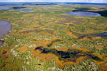 Aerial view of tundra and lakes in the Purovsky Region of the Yamal. Western Siberia, Russia, August 2008.