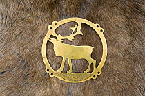 Brass belt buckle with a traditional reindeer motif. Purovsky Region, Yamal, Western Siberia, Russia, August 2008.