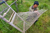 Selkup man repairing a traditional fish trap. Bistrinka, Purovsky Region, Yamal, Western Siberia, Russia, August 2008.