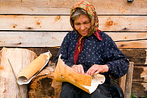 Selkup woman making a traditional basket from birch bark at Bistrinka. Purovskiy Region, Yamal, Western Siberia, Russia, August 2008. Editorial use only.