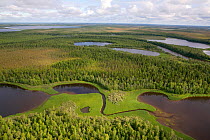 Aerial view of tundra, lakes and boreal forest in the Purovsky region of the Yamal. Western Siberia, Russia, August 2008.
