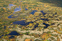 Aerial view of tundra and lakes in the Purovsky Region of the Yamal. Western Siberia, Russia, August 2008.