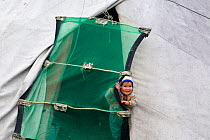 Forest Nenets girl peering through the mosquito net at the entrance to her family's tent. Purovsky Region, Yamal, Western Siberia, Russia, August 2008.