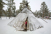 Forest Nenets girl peering out of her family's tent at a winter camp in the Purovsky region of the Yamal. Western Siberia, Russia, February 2009.