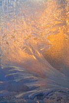 Frost patterns on the window of a home in Siberia in the winter. Yamal, Western Siberia, Russia, February 2009.