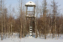 Guard post at a prison camp from the Stalin era near Yarudey. Yamal, Western Siberia, Russia, February 2009.