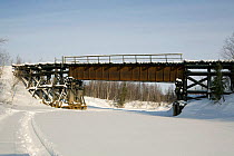 Remains of the railway bridge built by prisoners in the Stalin era between Nadym & Salekhard. Yamal, Western Siberia, Russia, February 2009.