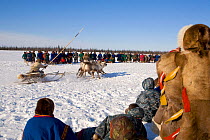 Nenets competitors and spectators at a Reindeer (Rangifer tarandus) race, part of a herders festival in the Yamal. Western Siberia, Russia, February 2009.