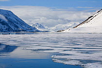 Thawing sea ice at the mouth to Brepollen Fjord, against snow-covered mountains. Spitsbergen, Svalbard, Norway, June 2008.