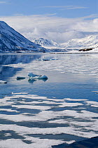 Thawing sea ice at the mouth to Brepollen Fjord, against snow-covered mountains. Spitsbergen, Svalbard, Norway, June 2008.