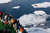 Photographers on the Professor Mulchanov taking pictures of a Bearded seal (Erignathus barbatus) on an ice floe. Spitsbergen, Svalbard, Norway, June 2008.