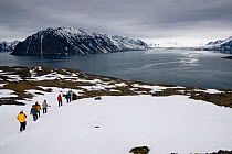 Tourists walking in deep snow high above Tinayre Bukta, Krossfjorden. Spitsbergen, Svalbard, Norway, June 2008.