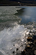 Ice thawing on Lake Isdammen, where it degrades into candle ice and blows to the shore. Longyearbyen, Spitsbergen, Svalbard, Norway, June 2008.