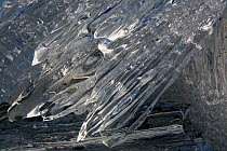 Ice thawing on Lake Isdammen, where it degrades into candle ice. Spitsbergen, Svalbard, Norway, June 2008.