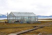 The most northerly greenhouse in the world at Ny Alesund. Spitsbergen, Svalbard, Norway, June 2006.