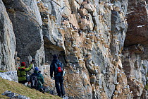 Tourists watching Kittiwakes (Rissa tridactyla) come and go from their nests on a cliff. Nelsonoya, Svalbard, Norway, June 2006.