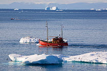 Wooden fishing boat amongst icebergs, near Ilulissat, West Greenland, 2008.