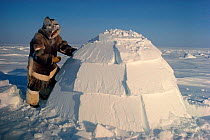 Inuit hunter building an Igloo for shelter. Igloolik, Nunavut, Canada, 1990.