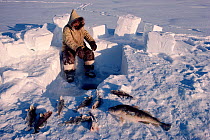 Inuit hunter jigging for cod though a hole in the ice. Igloolik, Nunavut, Canadian Arctic, 1990.