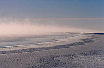 At -40 degrees Celsius frost smoke rising off the freezing sea at the floe edge near Igloolik, Nunavut, Canada, 1990.