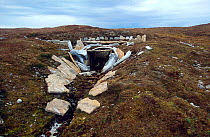 Reconstruction of Thule Culture House Resolute using bone and stone. Cornwallis Island, Nunavut, Canada, 2002.