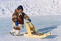 Inuit boy playing with a sled on the sea ice. Arctic Bay, Baffin Island, Nunavut, Canada, 2005.