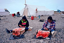 Inuit women using an Ulu (traditional Inuit woman's knife) to scrape fat from seal skins. Igloolik, Nunavut, Canada, 1992.