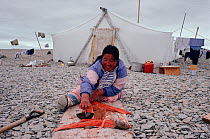 Inuit woman using Ulu (traditional Inuit woman's knife) to prepare Arctic charr (Salvelinus alpinus) for drying. Igloolik, Nunavut, Canada, 1992.