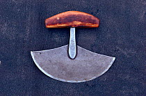 Ulu (traditional Inuit woman's knife), used for scraping skins, sewing & cutting meat. Nunavut, Canada, 1992.