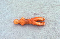 Tiny carved ivory figure of woman, approximately 2000 years old, believed to originate from Dorset culture. Igloolik Island, Nunavut, Canada, 1992.