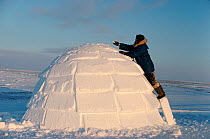 Inuit hunter using snow knife to finish igloo. Igloolik, Nunavut, Canada, 1993.