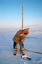 Inuit hunter using ice chisel to make hole in sea ice for fishing. Igloolik, Nunavut, Canada, 1993.