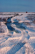 Tyre track damage to the fragile tundra. Canada, 1989.