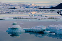 Ice floes in Discovery Harbour. Ellesmere Island National Park Reserve, Nunavut, Canada, 1994.