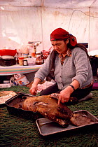 Cree woman preparing Beaver (Castor canadensis) for family feast. North Quebec, Canada, 1988.