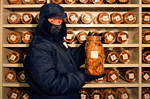 Seed bank officer holding jar of frozen seeds in freezer at Wakehurst Place Seed Bank, West Sussex, England, 2000.