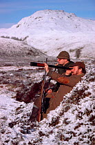 Men stalking Red deer on hill, Highlands of Scotland, 1986.