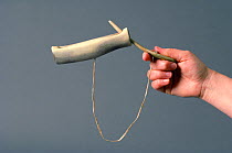 Ajagak, a game made from two pieces of seal bone and skin thong. Qaanaaq, Greenland.