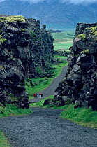 Tourists walking through Almannagja Fissure, tectonic plate join between USA and Europe. Midatlantic Rift, Thingvellir, Iceland, 1992.
