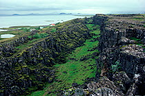 Lichen covered rocks by the Almannagja Fissure, join of European and American Plates. Midatlantic Rift, Thingvellir, Iceland, 1992.