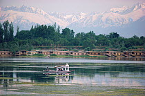 Shikara and houseboats on Lake Nagin, with the Himalayas behind. Kashmir, India, 1986.