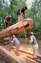 Men sawing Cedar wood by hand in houseboat building yard at Srinagar. Kashmir, India, 1986.