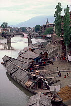 Houseboats on Jhelum River. Srinagar, Kashmir, India, 1986.