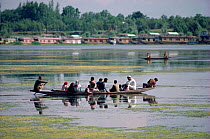 People crossing Lake Nagin by shikara. Kashmir, India, 1986.